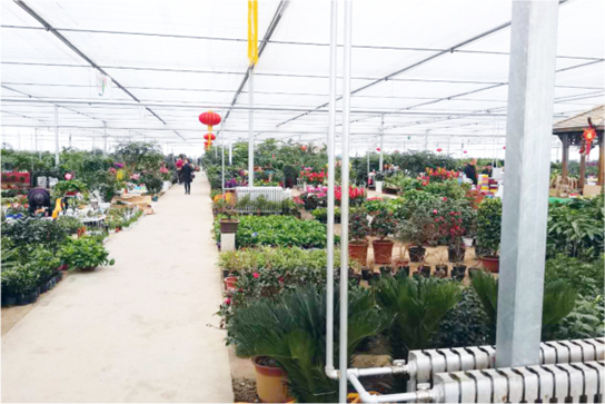 20210322160343165066