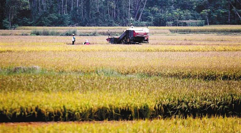 首页-人生就是博手机版