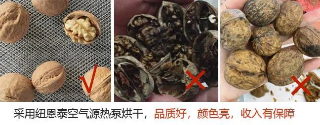 首页-人生就是博手机版