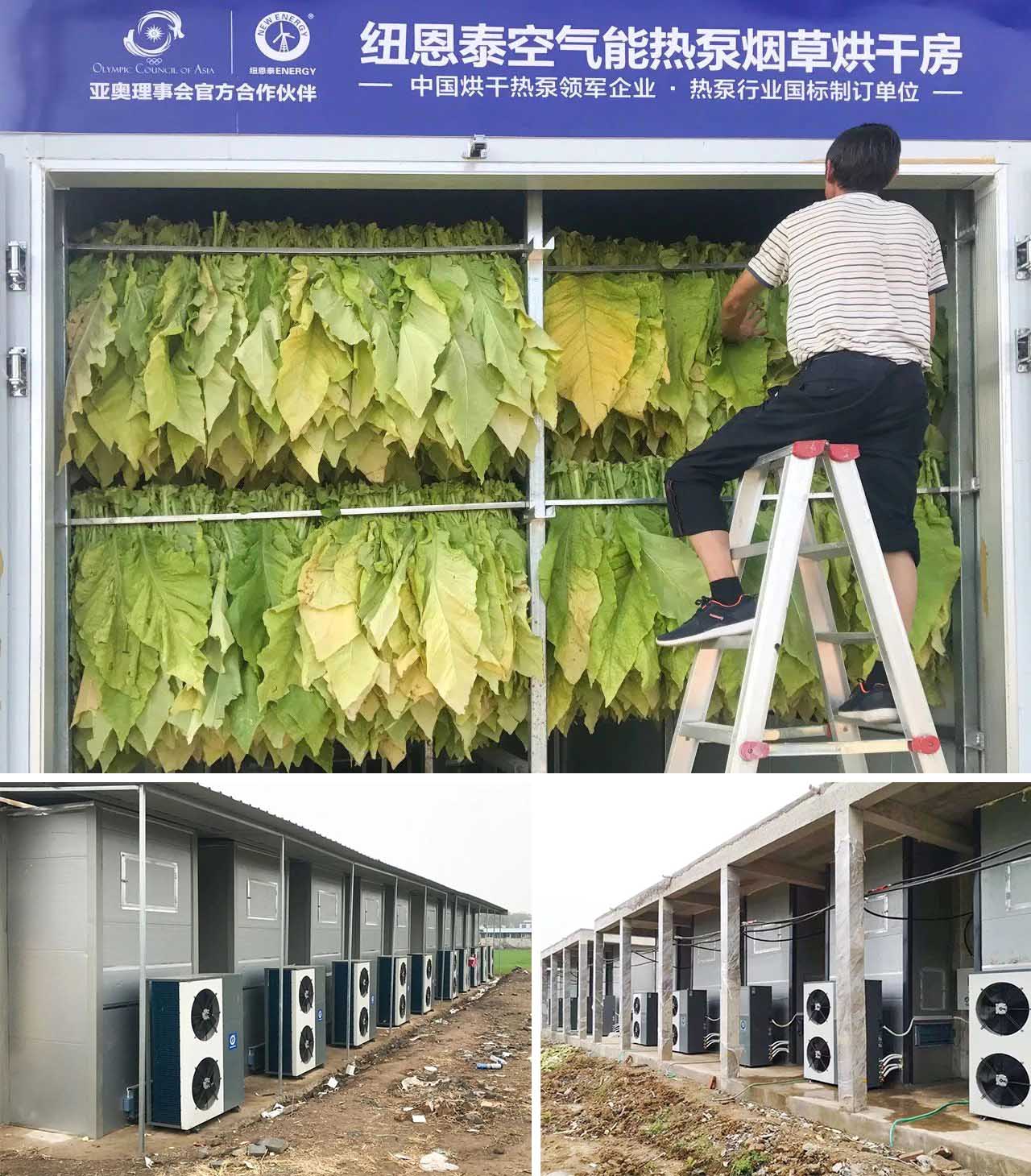 首页-人生就是博手机版